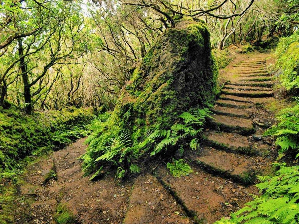 푸에르토 드 라 크루즈 Vistas Al Teide II Piscina Climatizada 아파트 외부 사진